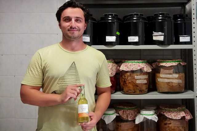 Alla scoperta del Kombucha: millenario "elisir di lunga vita" prodotto a Bari 
